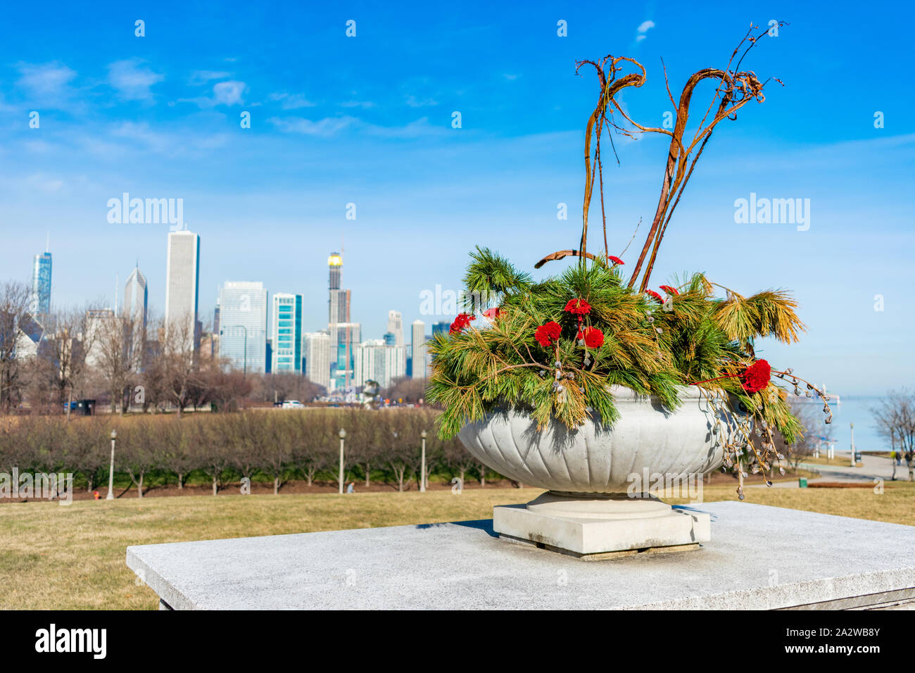 Des fleurs et des branches de pins dans un semoir avec Lake Shore Drive et l'horizon de Chicago Banque D'Images