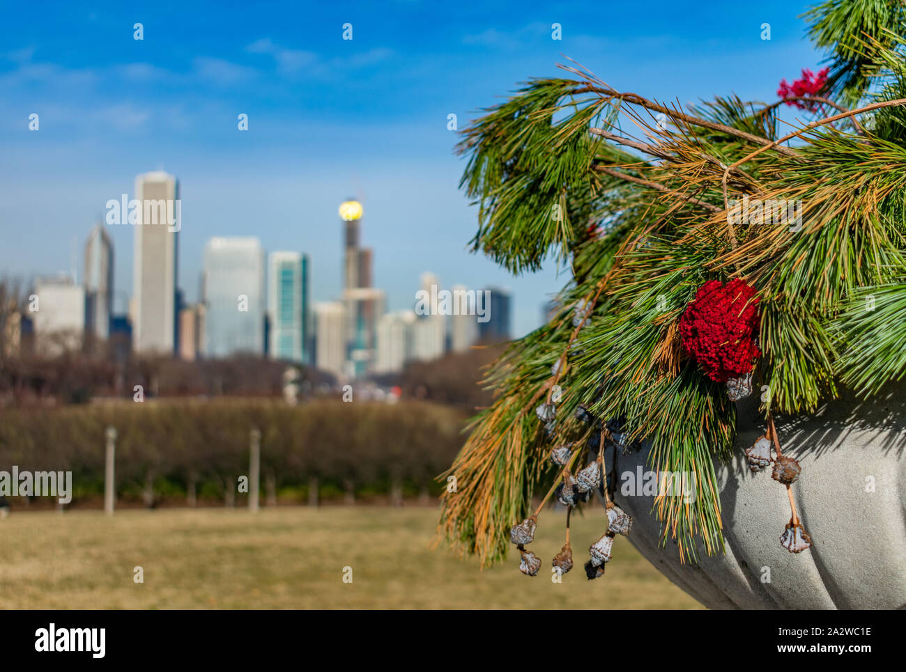 Libre de fleurs et branches de pins dans un semoir avec Lake Shore Drive et l'horizon de Chicago Banque D'Images