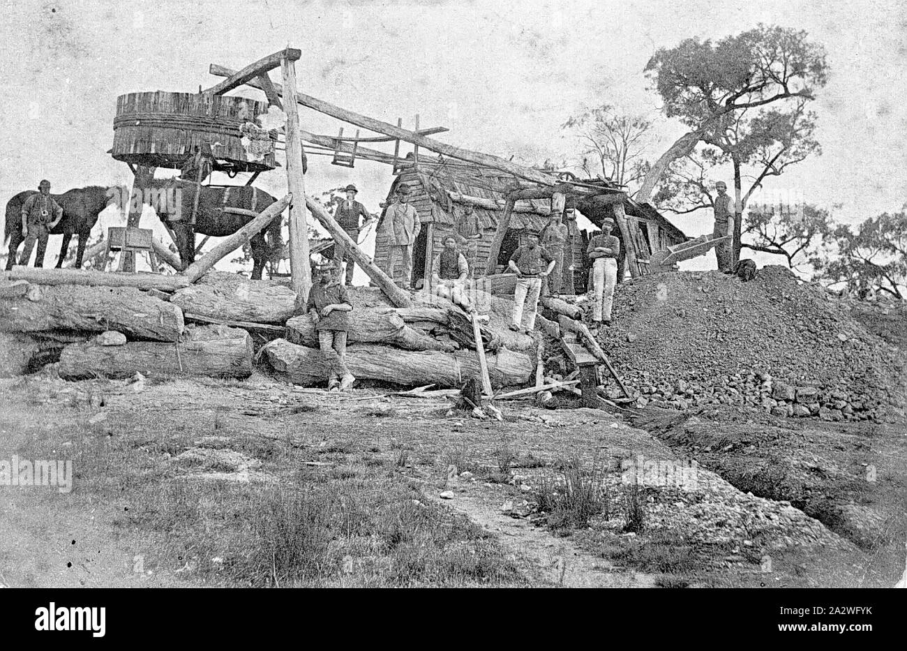 Négatif - l'humeur et les mineurs, Lewis Gold Mining Revendication ( ?), Elaine, Victoria, vers 1860, les mines d'or à Elaine. Probablement bâtiment appartient à la Lewis Claim. Il y a deux chevaux, un fonctionnement d'un treuil. Les travailleurs portent des chapeaux, vestes et bottes, il y a un petit bâtiment en bois derrière eux. Il y a plusieurs grands arbres en arrière-plan Banque D'Images