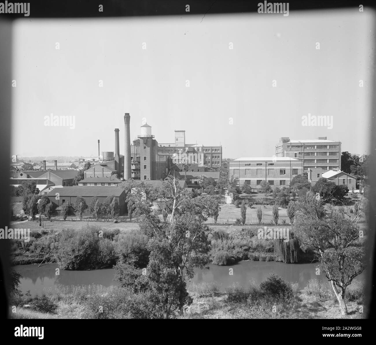 Négatif sur verre, l'usine d'Abbotsford à travers la rivière Yarra, vers les années 1940, en noir et blanc, Négatif sur plaque de verre de l'usine Kodak Australasia Pty Ltd à Abbotsford, vue oblique de l'autre côté de la rivière Yarra, y compris les rives et les arbres en premier plan. C'est l'un des 2 négatifs en verre contenue dans une zone "GP-90' par le musée de l'entreprise Kodak, Coburg. Les deux disposent d'une vue sur l'extérieur de l'usine de la rivière d'Abbotsford Banque D'Images