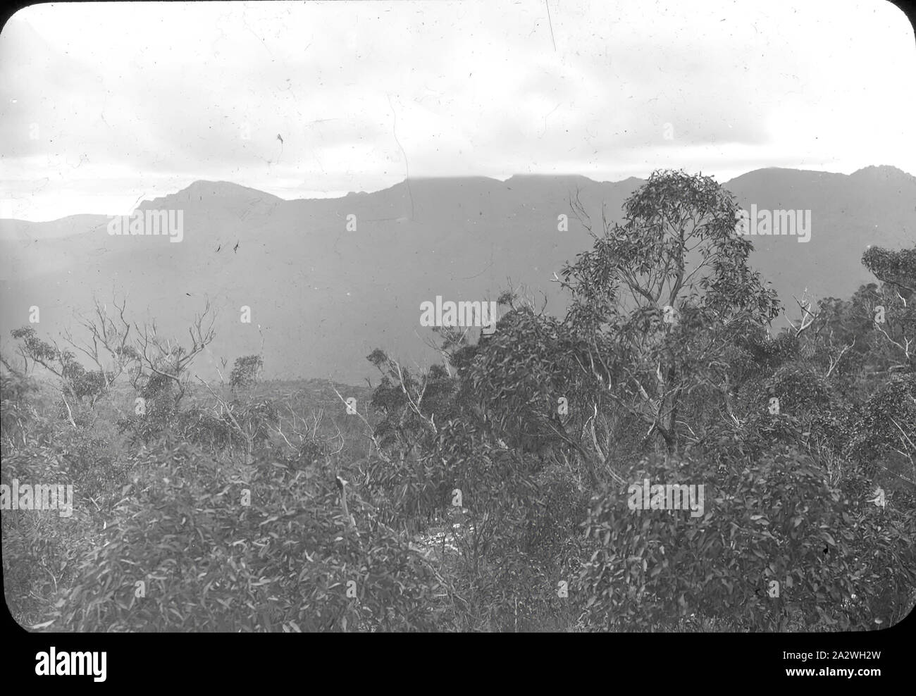 Diapositive - Grampians, Victoria, date inconnue, image en noir et blanc prises dans les montagnes des Grampians à Victoria, photographié par A.J. Campbell. Un des nombreux formant l'A.J. Campbell Collection détenus par Museum Victoria Banque D'Images