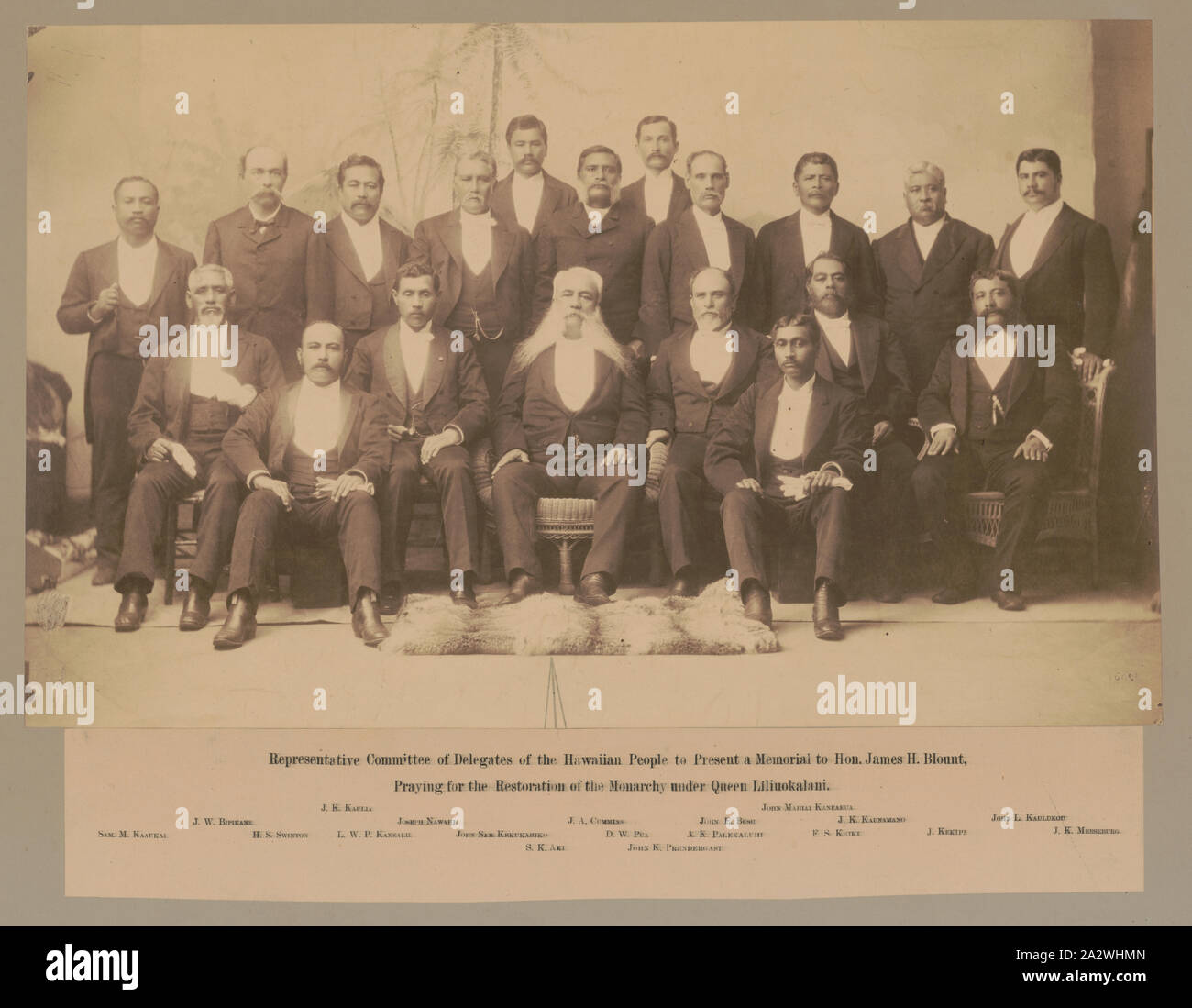 Comité des délégués représentant le peuple hawaiien de présenter un mémoire de l'honorable James H. Blount, priant pour la restauration de la monarchie sous la Reine Liliuokalani Banque D'Images