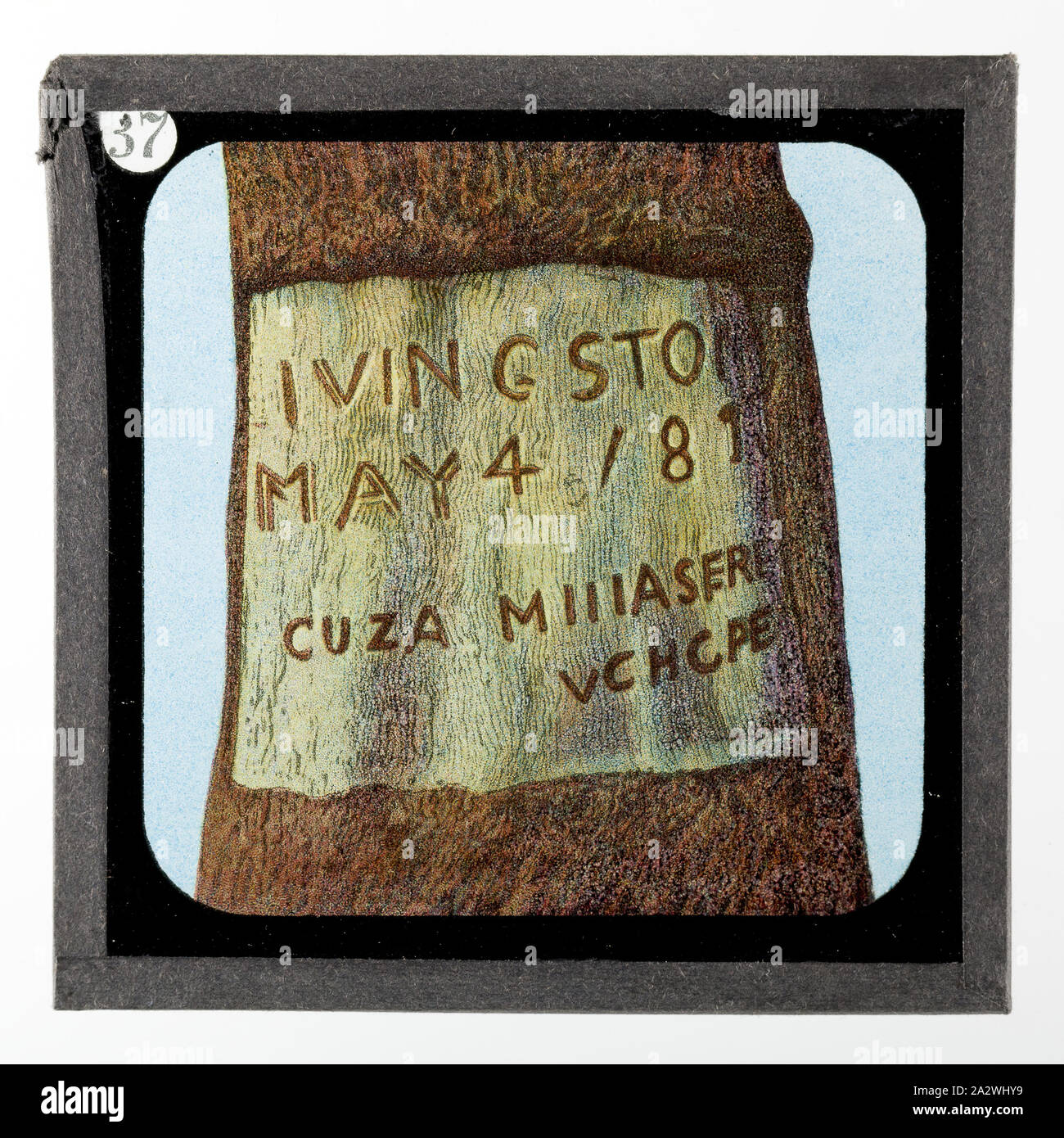 Diapositive - Inscription sur arbre, de vie et de travail du Dr David Livingstone, vers 1900, diapositive illustrant l'inscription gravée sur un arbre par Livingstone's bord d'enregistrer sa mort. Elle fait partie d'un ensemble incomplet de 40 diapositives, deux sont manquants, illustrant les faits marquants de la vie de Livingstone et de voyages. Ces diapositives ont été fabriqués par la London Stereoscopic & Photographic Company pour la Société Missionnaire de Londres, vers 1900. Le Dr David Livingstone (1813-1873 Banque D'Images