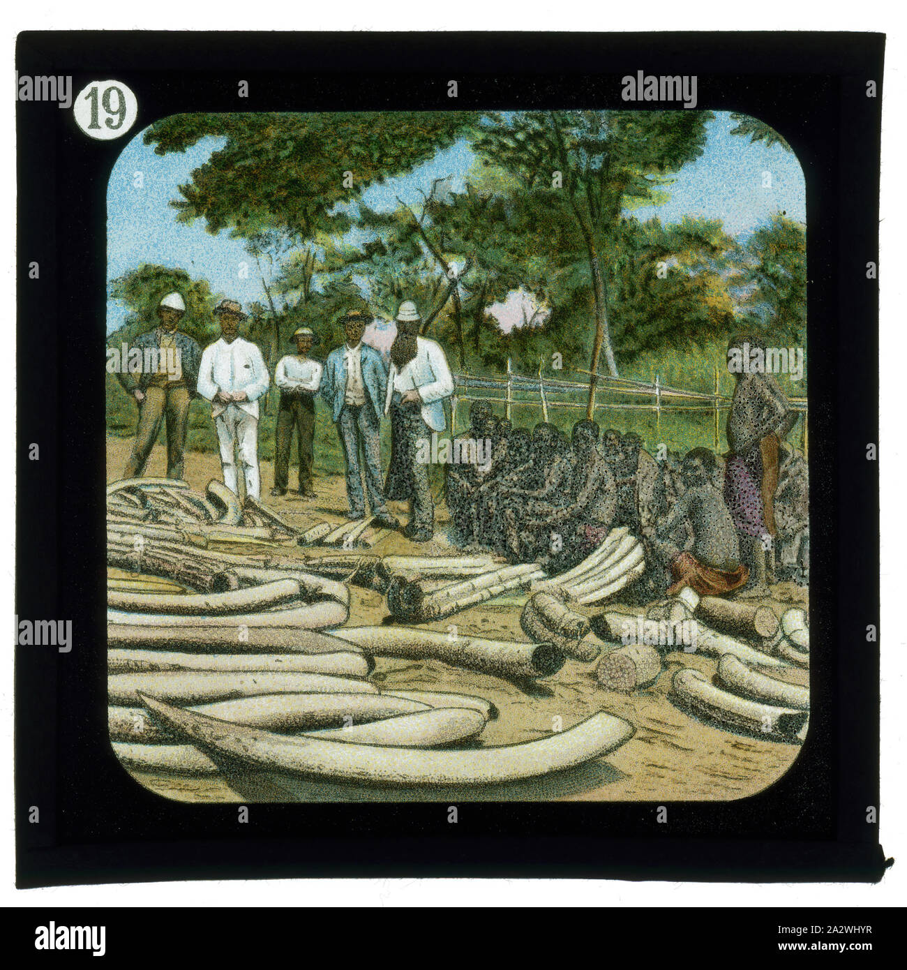 Diapositive - Ivoire & Transporteurs, de vie et de travail du Dr David Livingstone, vers 1900, diapositive illustrant l'ivoire disposés sur le terrain avec des gens assis et debout autour d'eux. Elle fait partie d'un ensemble incomplet de 40 diapositives, deux sont manquants, illustrant les faits marquants de la vie de Livingstone et de voyages. Ces diapositives ont été fabriqués par la London Stereoscopic & Photographic Company pour la la Société Missionnaire de Londres, vers 1900. Le Dr David Livingstone (1813-1873) a passé Banque D'Images