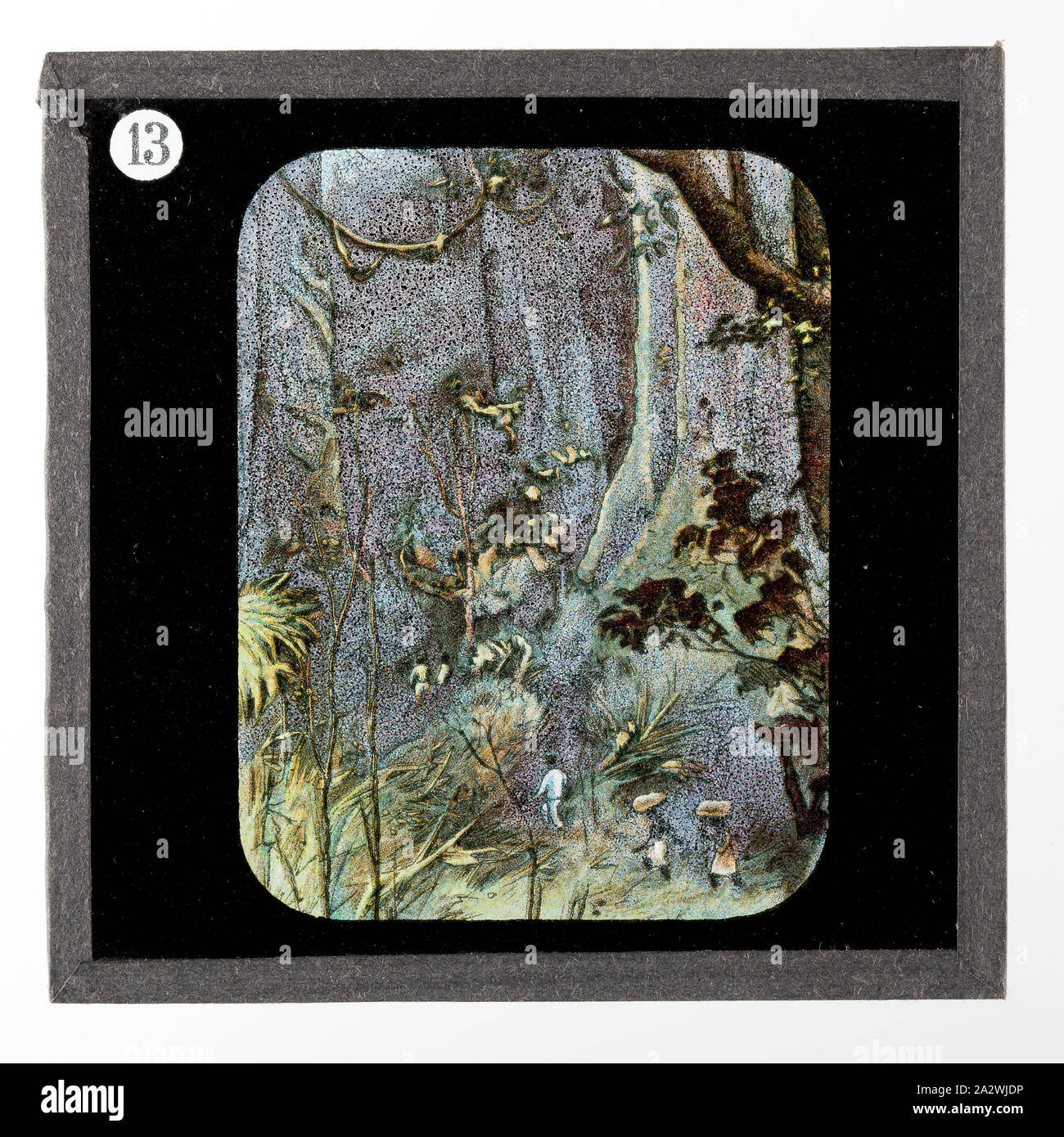 - Diapositive sur scène dans une forêt équatoriale, de vie et de travail du Dr David Livingstone, vers 1900, diapositive illustrant les gens marcher dans une forêt équatoriale d'Afrique. Elle fait partie d'un ensemble incomplet de 40 diapositives, deux sont manquants, illustrant les faits marquants de la vie de Livingstone et de voyages. Ces diapositives ont été fabriqués par la London Stereoscopic & Photographic Company pour la Société Missionnaire de Londres, vers 1900. Le Dr David Livingstone (1813-1873) a passé trente ans en Afrique Banque D'Images