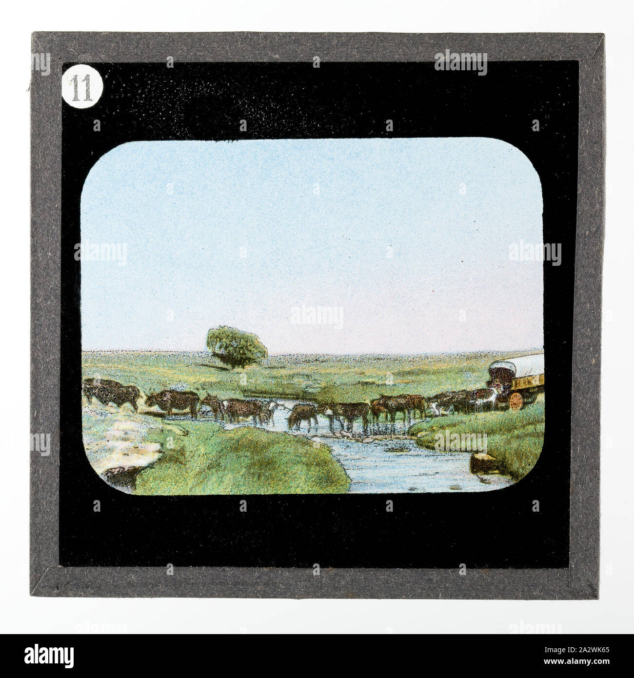 Diapositive - Montée crossing River, de vie et de travail du Dr David Livingstone, vers 1900, diapositive représentant un chariot tiré à travers un ruisseau. Elle fait partie d'un ensemble incomplet de 40 diapositives, deux sont manquants, illustrant les faits marquants de la vie de Livingstone et de voyages. Ces diapositives ont été fabriqués par la London Stereoscopic & Photographic Company pour la Société Missionnaire de Londres, vers 1900. Le Dr David Livingstone (1813-1873) a passé trente ans en Afrique comme missionnaire Banque D'Images