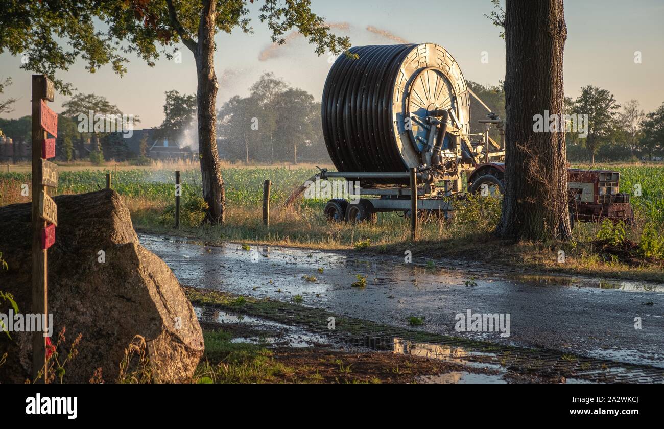 Silhouette d'irrigation agricole arrosage système de blé au coucher du soleil. L'irrigation en utilisant le champ de système de gicleurs à pivot central. Amsterdam, Th Banque D'Images