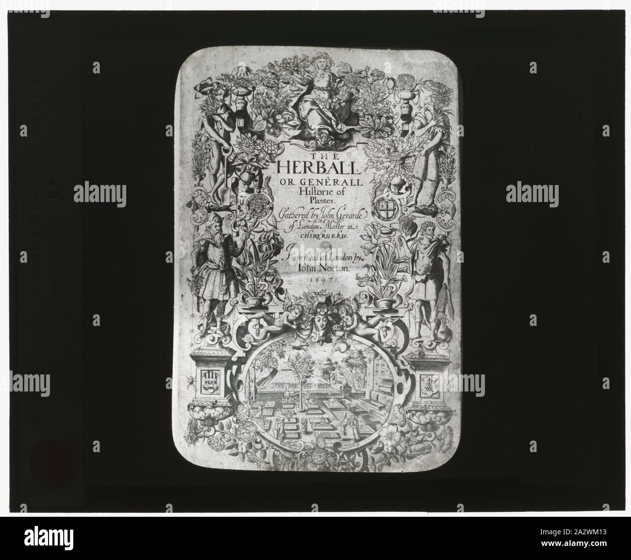 La reproduction de la page de titre pour l'Historie de Herball ou Generall Plantes par John Norton, Londres, 1597 Banque D'Images