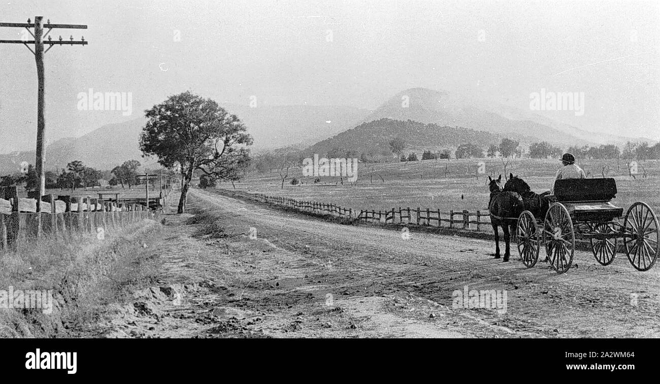 Négatif - Horse & Panier sur Road, Victoria, vers 1920, un cheval et un panier sur une route de campagne. Il y a une clôture en bois de chaque côté de la route et il y a des poteaux pour la gauche Banque D'Images