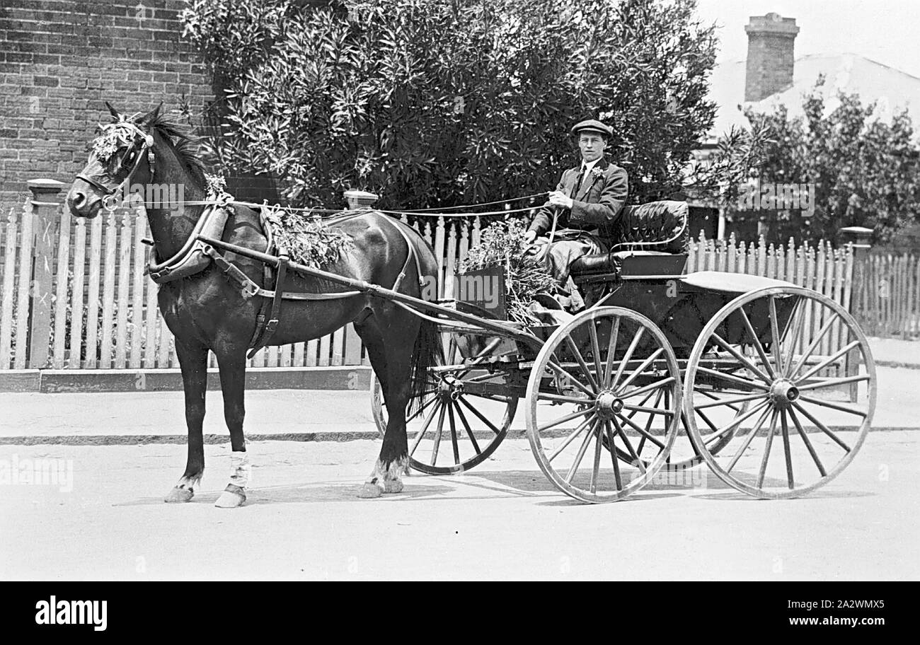 Négatif - Albert Boucher dans un Cheval et buggy, Buninyong, Victoria, 1912, Albert Boucher dans une voiture à cheval venant tout juste de rentrer d'un voyage de plus de 250 milles à l'Épi Noir Fleuve Goulburn, Oui et retour par l'intermédiaire de Whittlesea et Melbourne Banque D'Images