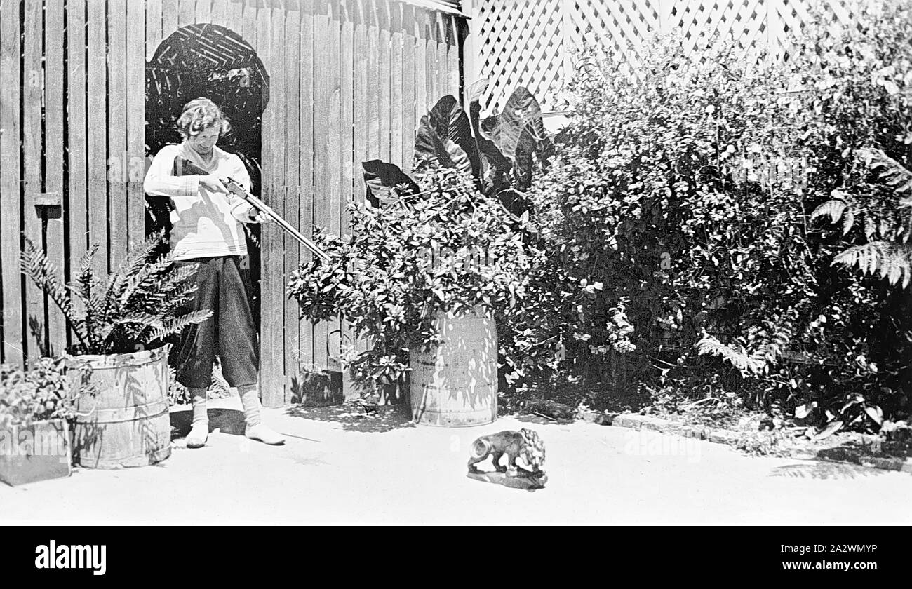 - Négatif Femme visant une carabine à un modèle en plâtre d'un lion, Ararat, Victoria, vers 1925, une femme, portant un pantalon, longueur mollet debout dans une cour arrière et visant une carabine à un petit modèle en plâtre d'un lion Banque D'Images