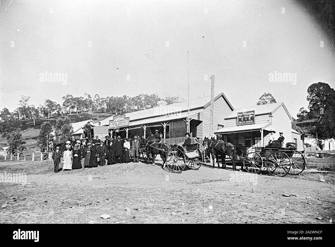Négatif - Groupe avec deux chevaux et voitures à l'extérieur de l'arrêt Buchan Guest House, Buchan, Victoria, 1908, un groupe avec deux chevaux et voitures à l'extérieur de la Buccleuch Arms Hotel Banque D'Images