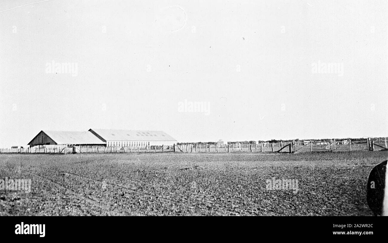 - Négatif Isisford, Queensland, District 1935, la jeunesse the woolshed sur 'gare' Willandra Banque D'Images