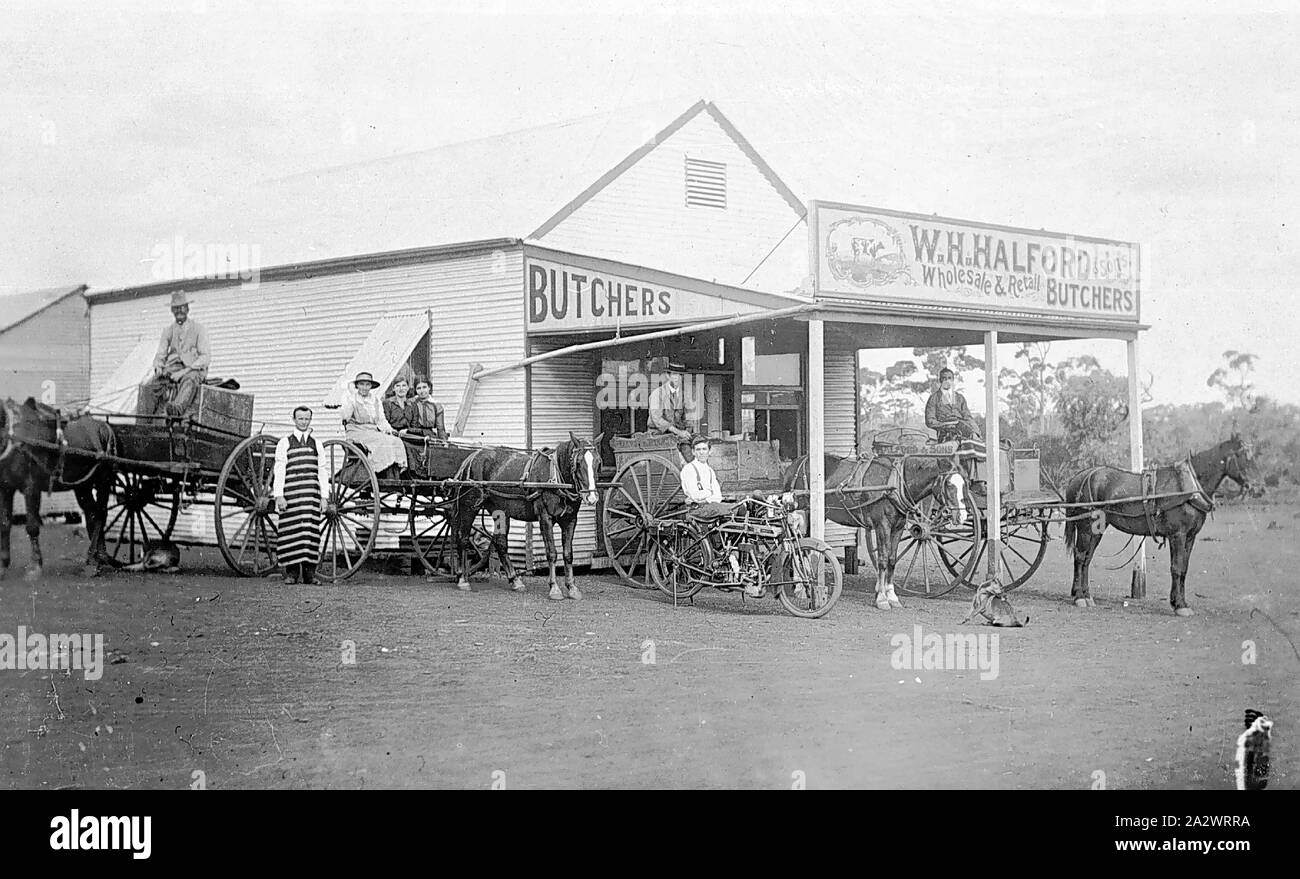 Négatif - Ora Banda, dans l'ouest de l'Australie, 1916, les charrettes de livraison à l'extérieur de W.H. Halford butchers Banque D'Images