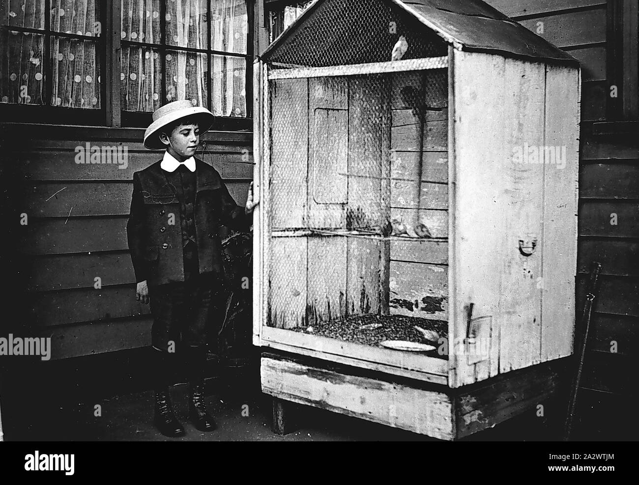 Négatif - Victoria, vers 1915, un garçon avec une grande cage à oiseaux. Il y a des oiseaux à l'intérieur de la cage Banque D'Images