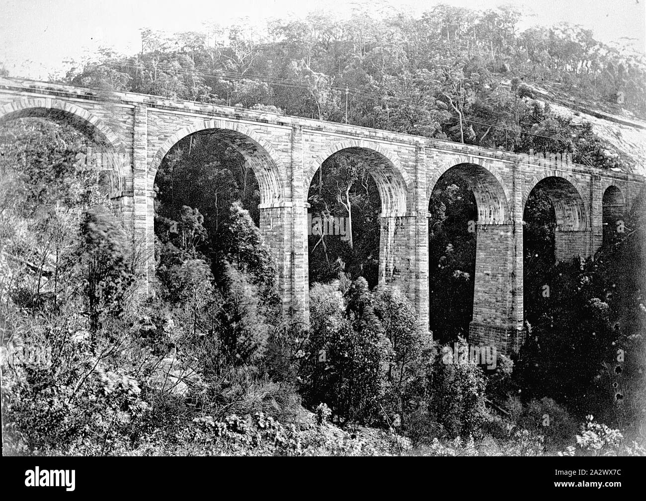 Négatif - Emu Plains District, New South Wales, 1878, le viaduc sur sac à  dos sur le Gully 'Zig Zag Railway Photo Stock - Alamy