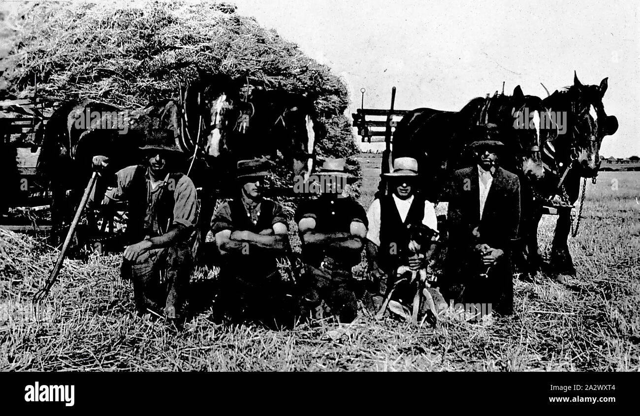 - Négatif Waurn Ponds, Victoria, vers 1925, les hommes en face d'une charge d'un chariot de foin Banque D'Images