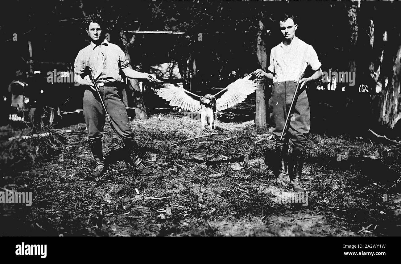 - Négatif Oui District, Victoria, vers 1930, deux hommes armés l'affichage d'un oiseau mort Banque D'Images