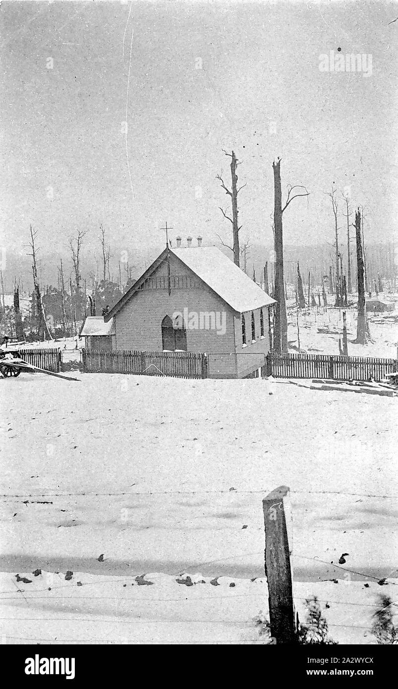 Négatif - forêt de hêtres, Victoria, vers 1910, l'Église d'Angleterre en forêt de hêtres sous la neige. Derrière les arbres ont été apparemment à travers un bushfire Banque D'Images