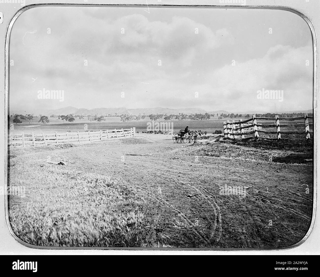 Négatif - Green Lake, Victoria, 1885, un cheval et le chariot sur la route. Il y a des clôtures de la poste et des chemins de fer de chaque côté de la route Banque D'Images