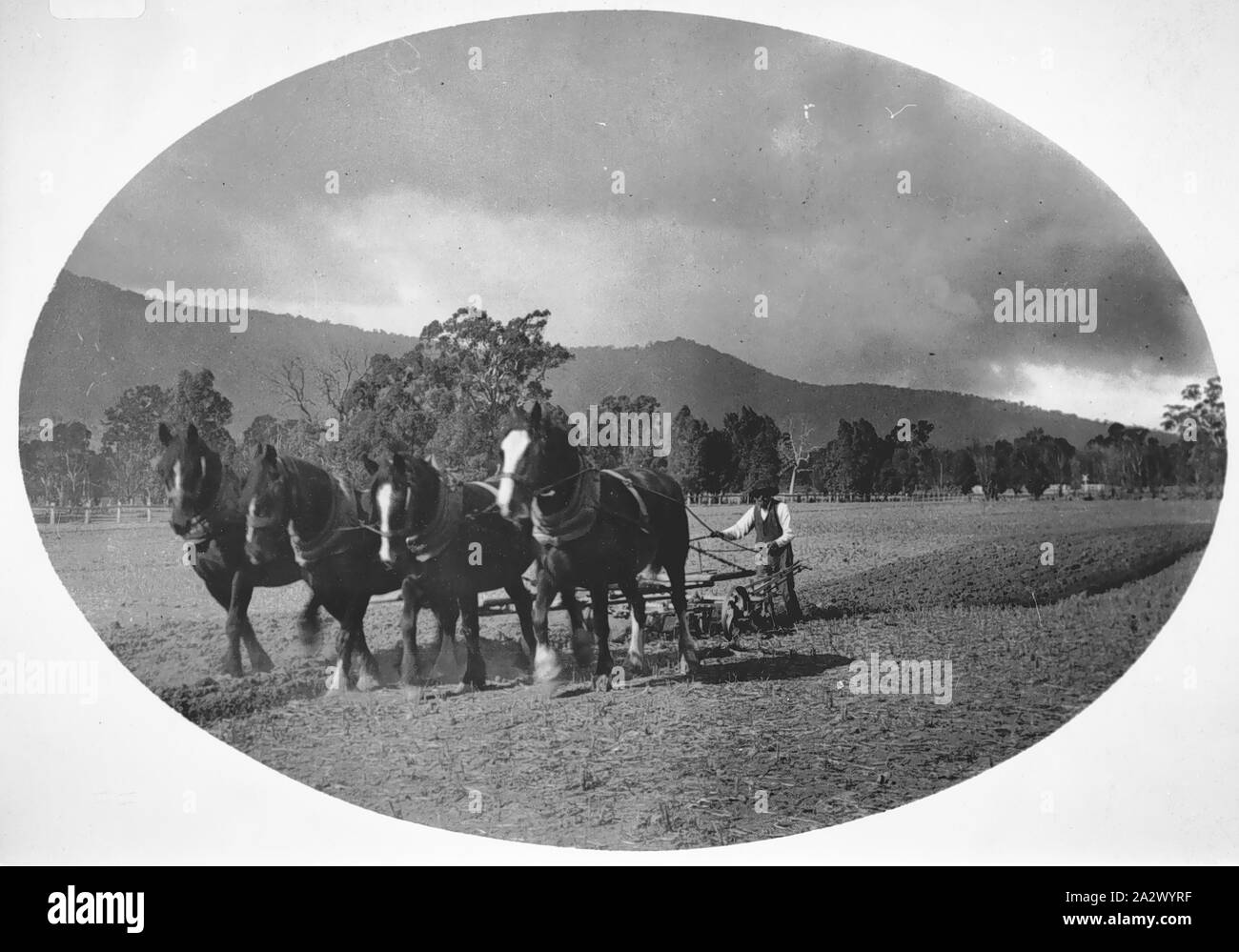 4 Images 1 Mot Cheval Eglise Attelage de chevaux dezssin Banque de photographies et d'images à haute  résolution - Alamy