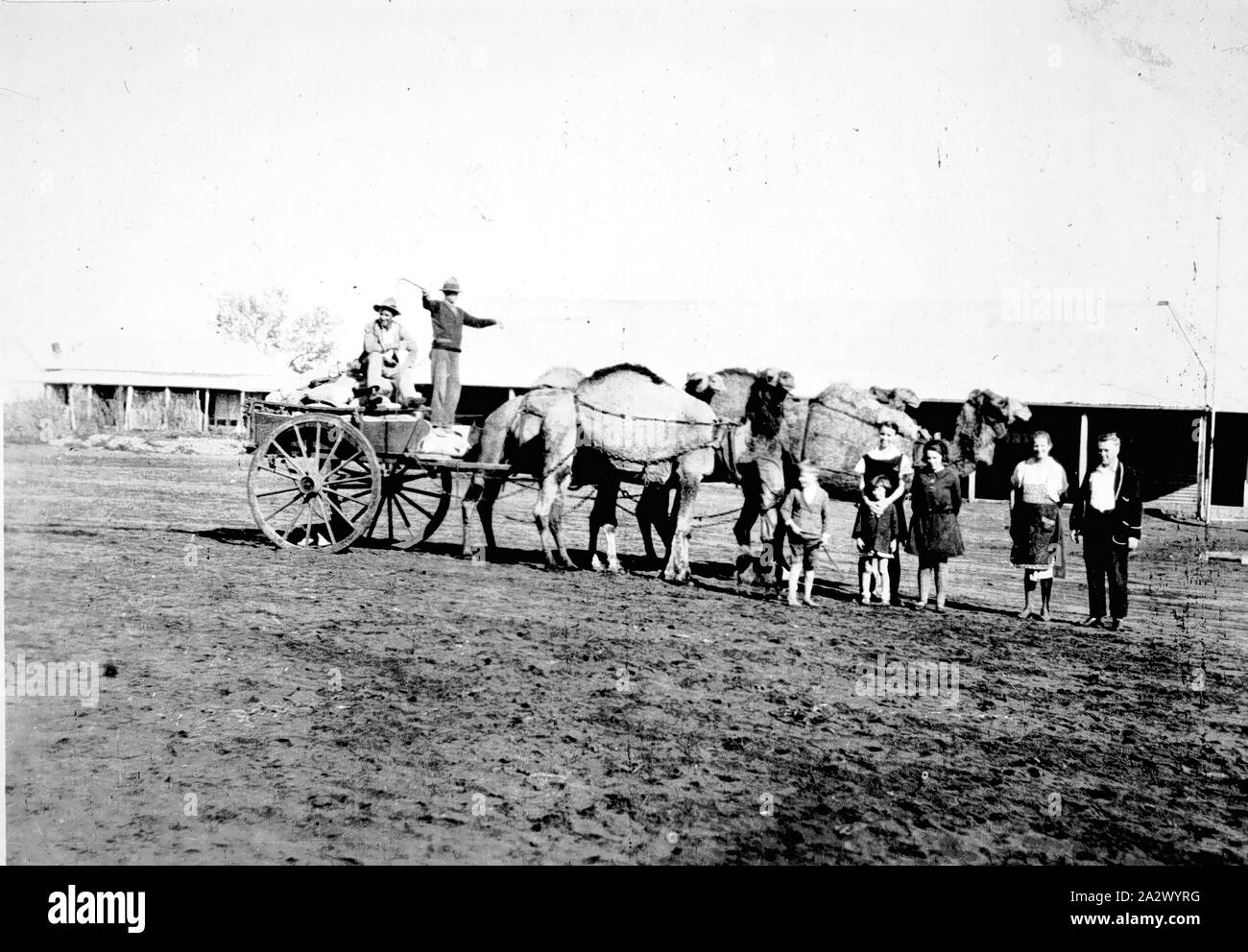 Négatif - Hungerford, Queensland, 1927, un groupe familial à l'avant d'un chariot tiré par des chameaux. Il y a deux hommes sur le wagon Banque D'Images
