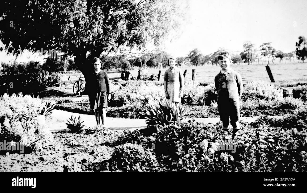 Négatif - Nathalia District, Victoria, vers 1940, le Dohnt les enfants dans leur jardin Banque D'Images
