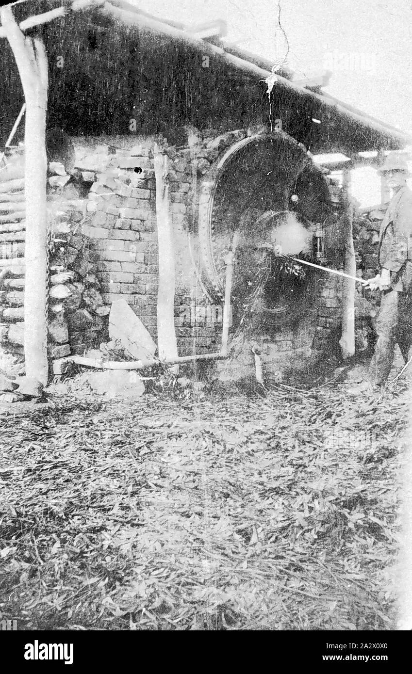 Négatif - Kamarooka District, Victoria, vers 1928, un homme d'alimenter une chaudière à un plant d'eucalyptus Banque D'Images