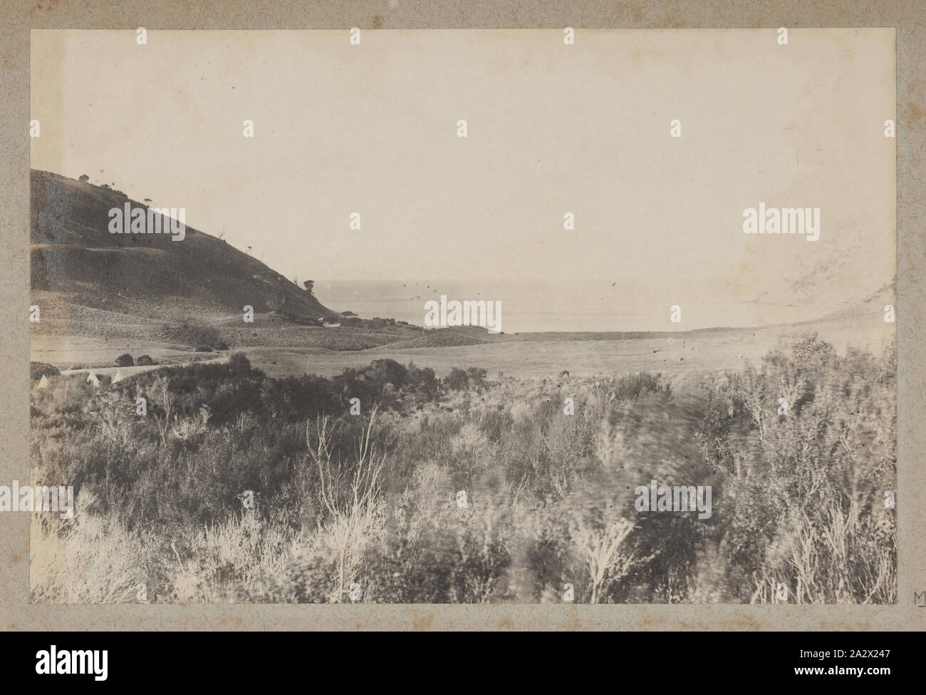 Photographie - Garden Cove, l'Île de faire face, 1890, l'un des soixante-neuf noir et blanc et photographies sépia dans un album relié [6] sont mal prises par un J Campbell lors d'un Field Naturalists' Club of Victoria Kent expédition au groupe d'îles du détroit de Bass, en 1890. L'album comprend également une carte de groupe Kent dans l'intérieur de la couverture et de nombreuses coupures de journaux contemporains relatifs à l'expédition Banque D'Images