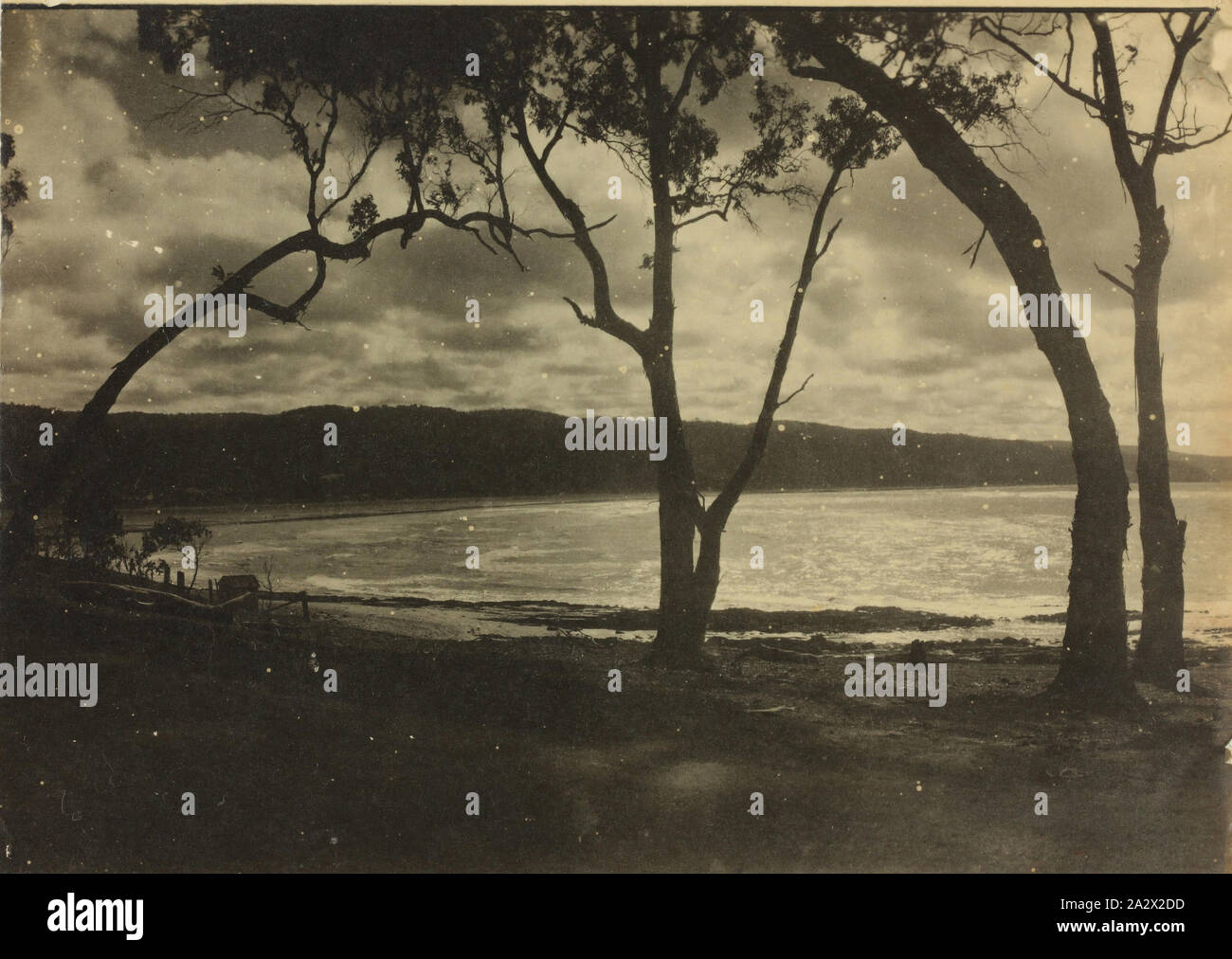 Photographie - Paysage côtier, district de Lorne, Victoria, vers 1920, l'image en noir et blanc de paysage côtier près de Lorne, Victoria. En décembre 1899 et a commencé une forte association avec Lorne qui devait durer 50 ans Banque D'Images