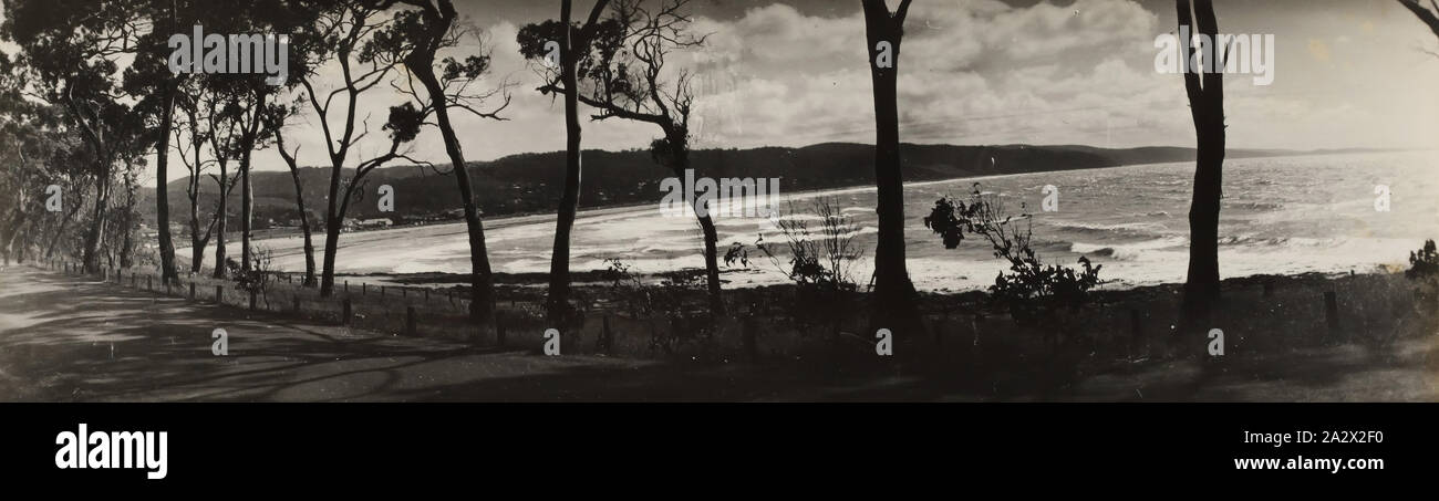 Photographie - Paysage côtier, Lorne, Victoria, vers 1920, photographie monochrome de Loutit Bay, Lorne, vu à travers les gommiers. En décembre 1899 et a commencé une forte association avec Lorne Banque D'Images
