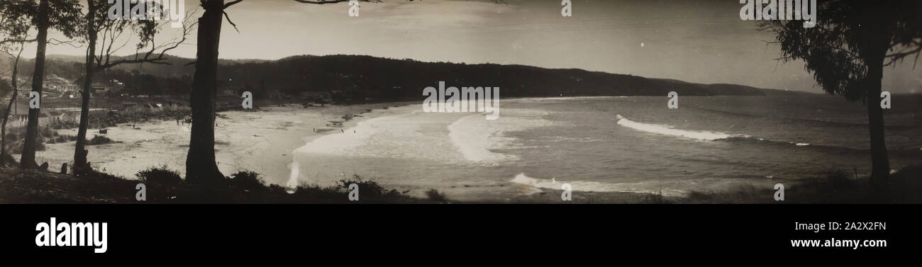 Photographie - Paysage côtier, Lorne, Victoria, vers 1920, photographie monochrome de Loutit Bay, Lorne vu à travers les gommiers. En décembre 1899 et a commencé une forte association avec Lorne Banque D'Images