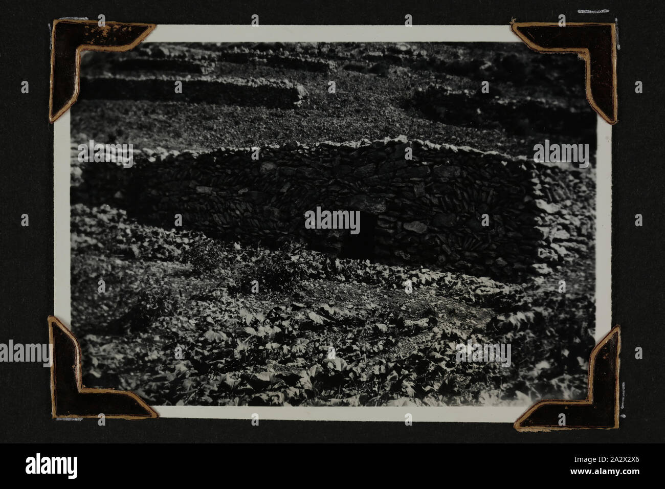 Photo - Vue extérieure de "maisons arabes', Hébron, Palestine, Sœur Isabel Erskine Plante, la seconde guerre mondiale, 1941, l'un des 135 photographies en noir et blanc contenues dans une seconde guerre mondiale, album de photographies avec des photographies de Sœur Isabel Erskine Plante en uniforme, sur les vues de la région du Moyen-Orient et de Guinée - la seconde guerre mondiale. L'album appartenait à Sœur Isabel Erskine Plante, une infirmière à l'Hôpital général de l'Australie 7ème en Palestine Banque D'Images