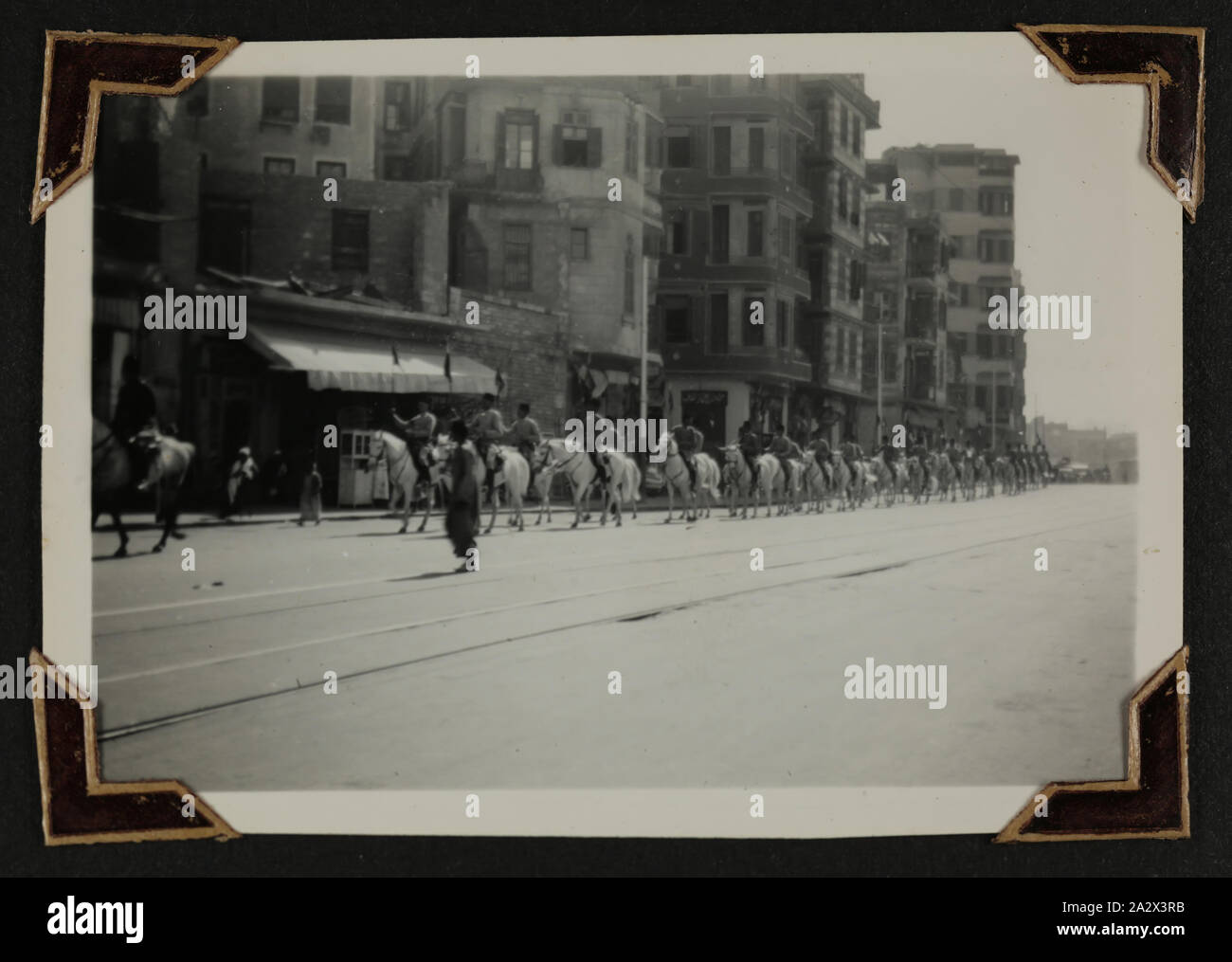 Photographie - 'roi Farouk's Horses', l'Égypte, Sœur Isabel Erskine Plante, la seconde guerre mondiale, vers 1942, l'un des 135 photographies en noir et blanc contenues dans une seconde guerre mondiale, album de photographies avec des photographies de Sœur Isabel Erskine Plante en uniforme, sur les vues de la région du Moyen-Orient et de Guinée - la seconde guerre mondiale. L'album appartenait à Sœur Isabel Erskine Plante, une infirmière à l'Hôpital général de l'Australie 7ème en Palestine Banque D'Images