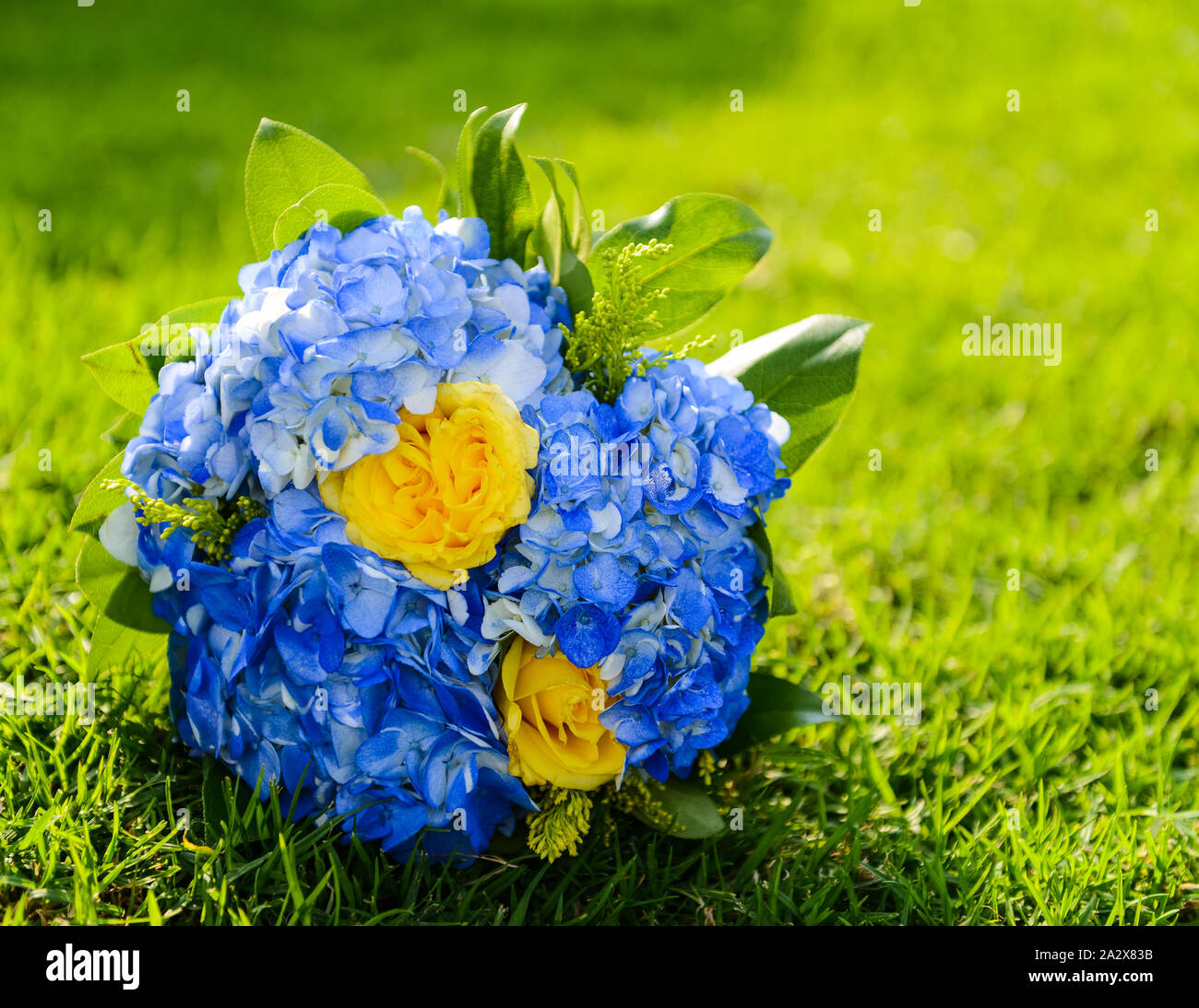 Bouquet de fleurs jaune et bleu pour le mariage Photo Stock - Alamy