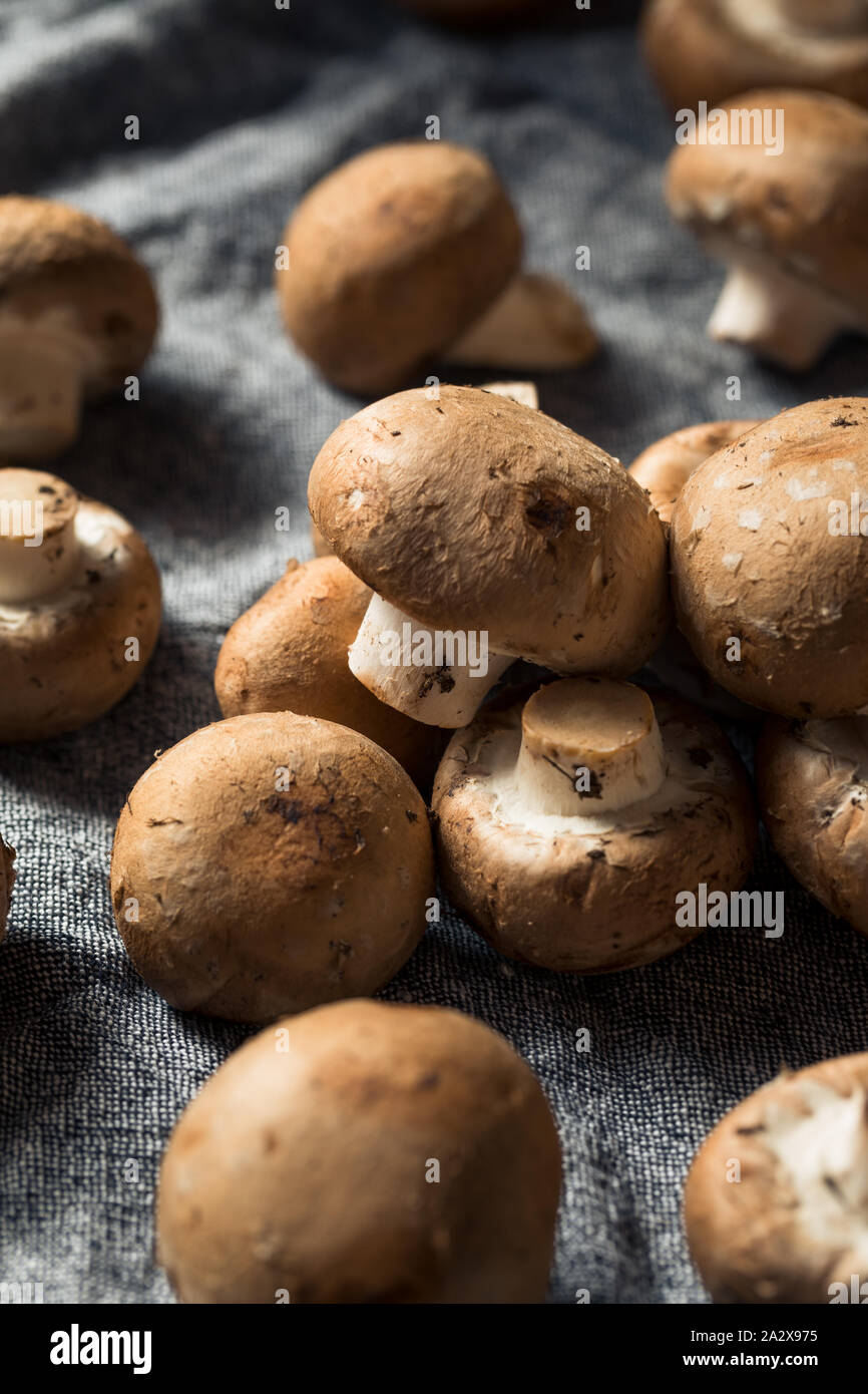 Matières Organic Baby Bella prêt à cuire les champignons Banque D'Images