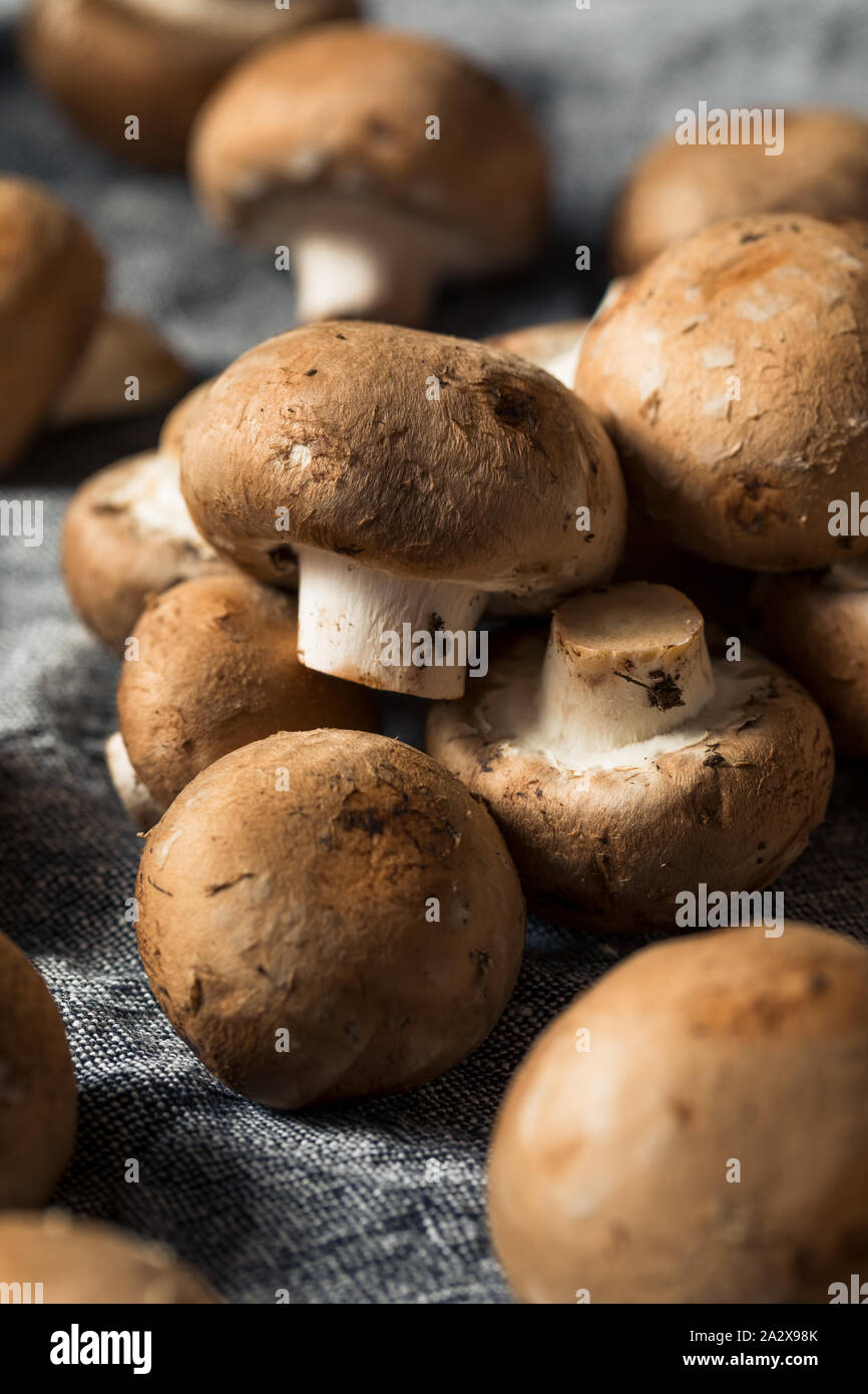 Matières Organic Baby Bella prêt à cuire les champignons Banque D'Images