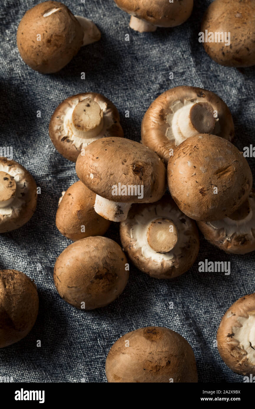 Matières Organic Baby Bella prêt à cuire les champignons Banque D'Images