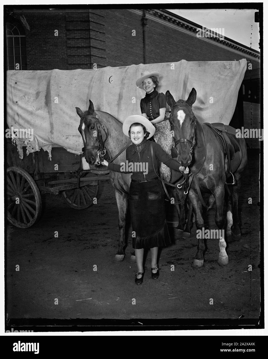 Ride 'em cowboy. Washington, D.C., le 11 mars. Cast aussi dur-équitation cowgirls, Agnes Doherty, (à cheval) nièce du Sénateur Joseph C. O'Mahoney, Cuyler et Schwartz, fille du sénateur H.H. Schwartz du Wyoming, prendra une place importante dans la société circus qui se tiendra à Fort Myer, Va., fin de ce mois. Le produit de l'émission sera donné à la charité, 3/11/1937 Banque D'Images
