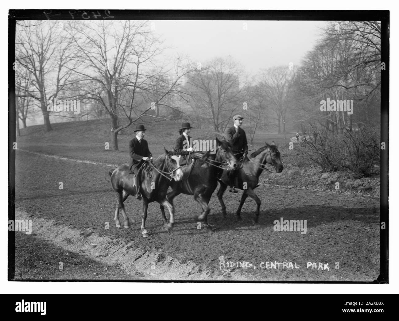 Équitation - Central Park Banque D'Images