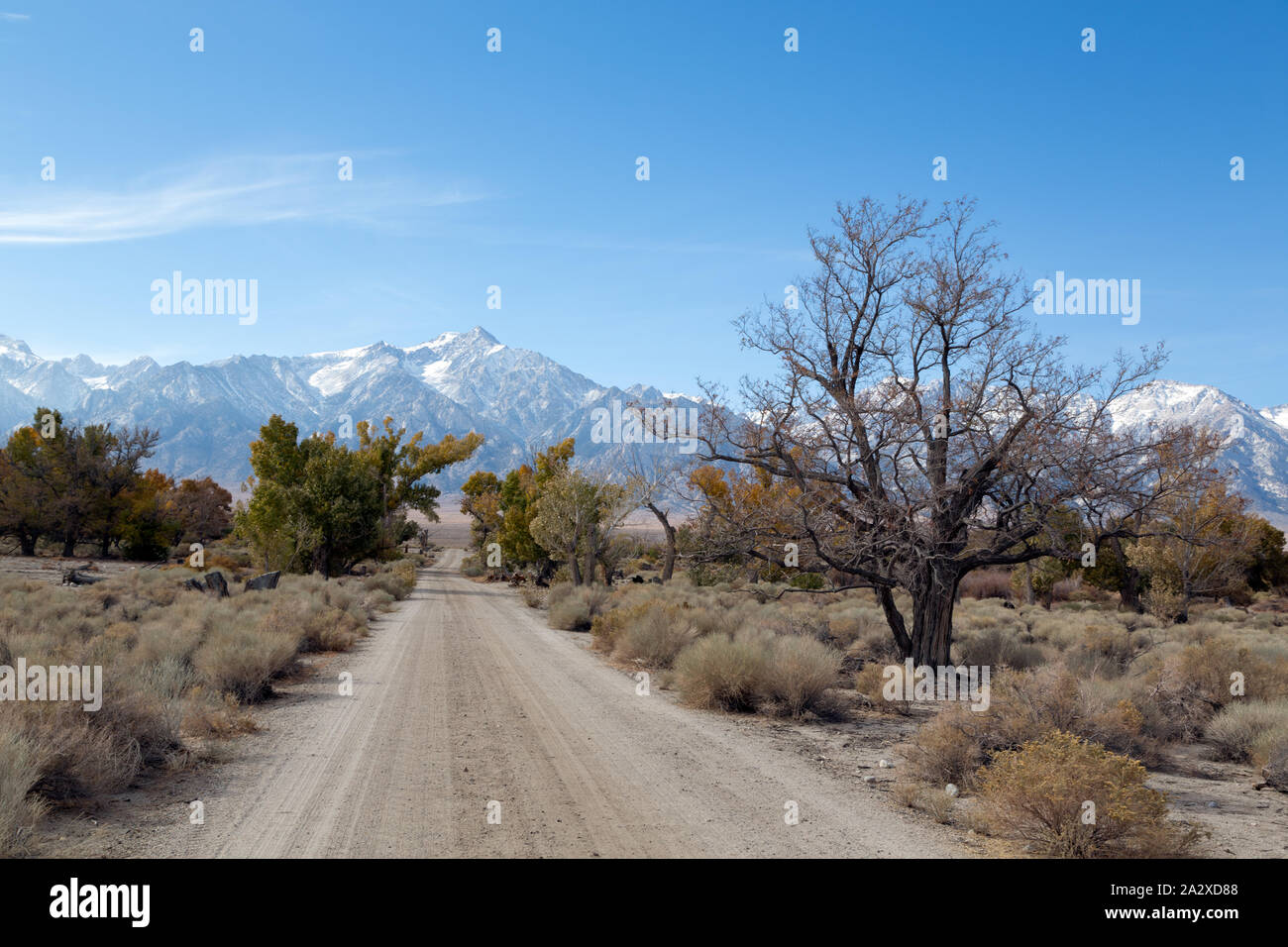 Road, Manzanar War Relocation Center, Californie Banque D'Images