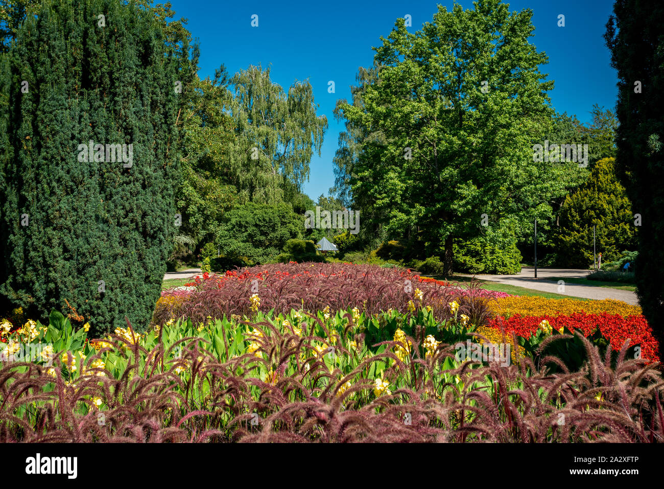 Vue d'une pelouse et jardin fleuri. beau parc Banque D'Images