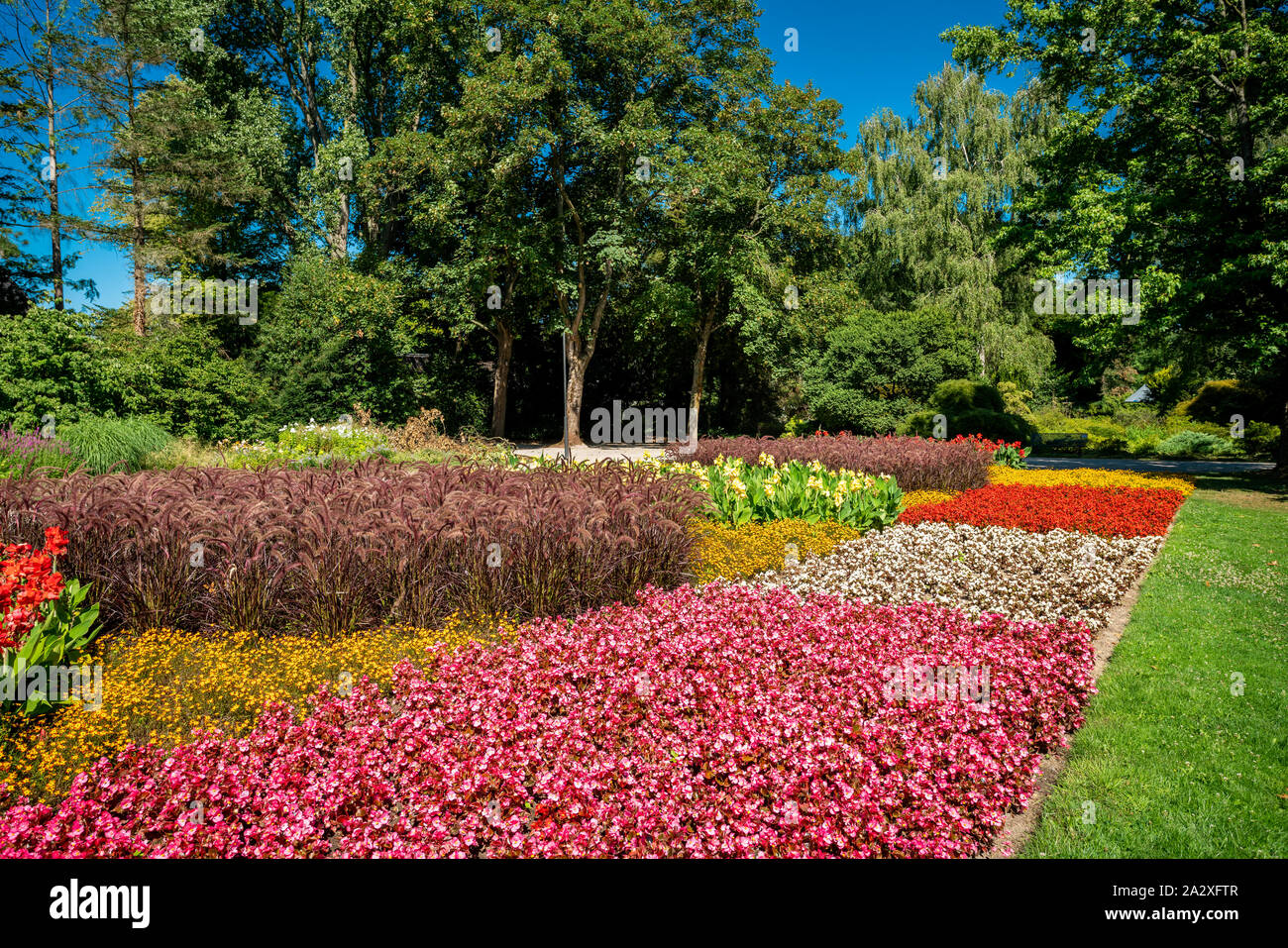 Vue d'une pelouse et jardin fleuri. beau parc Banque D'Images