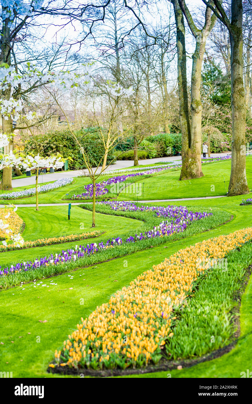 Jardin fleuri de fleurs Banque D'Images