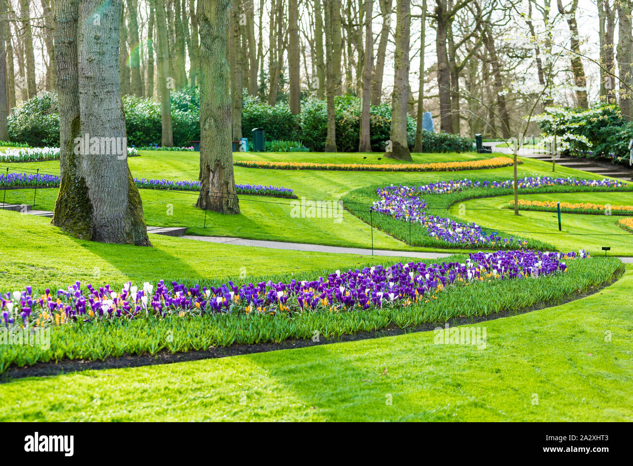 Jardin fleuri de fleurs Banque D'Images