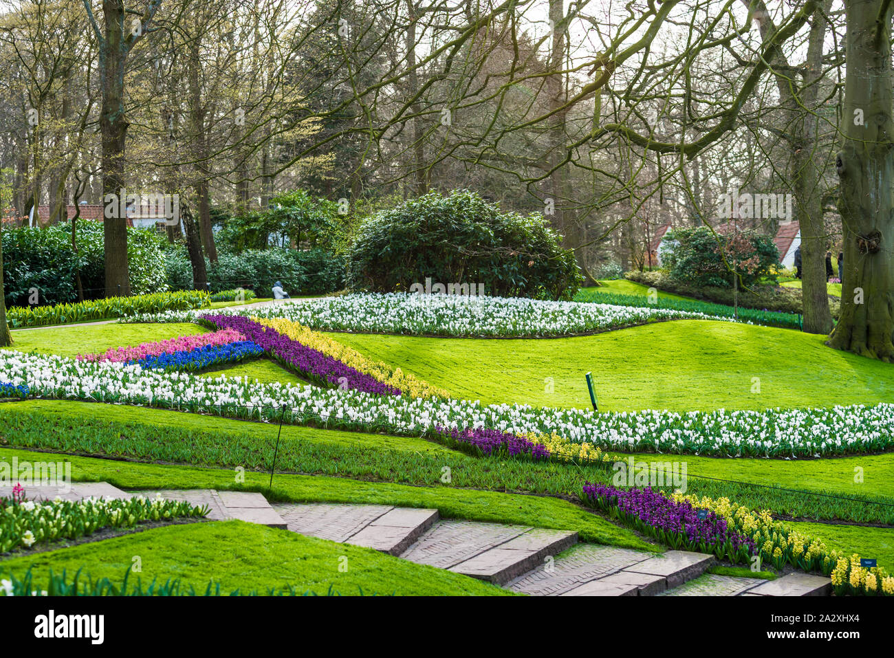 Jardin fleuri de fleurs Banque D'Images