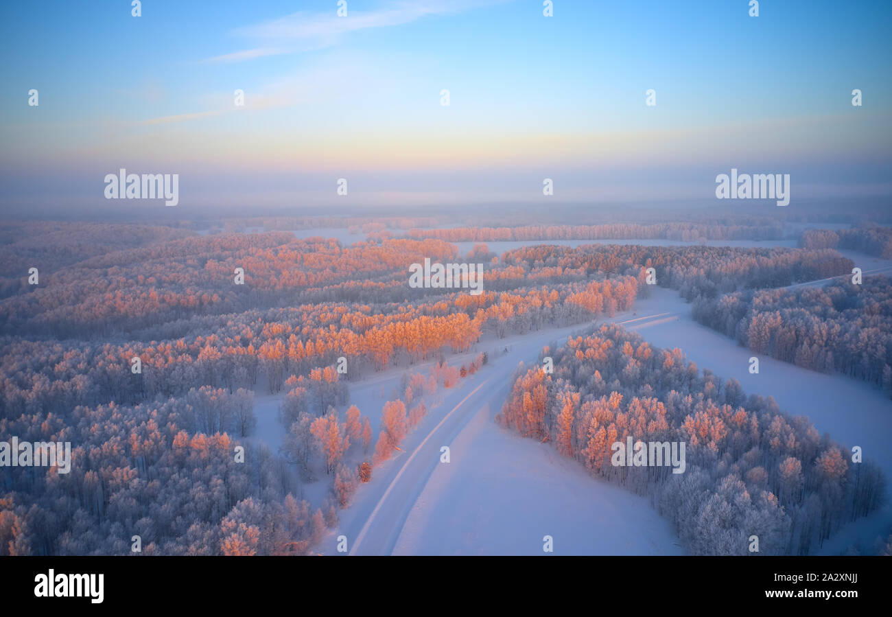 Rural de Sibérie paysage d'hiver avec les bouleaux couverts de givre au matin du temps. Vue aérienne de drone. Banque D'Images