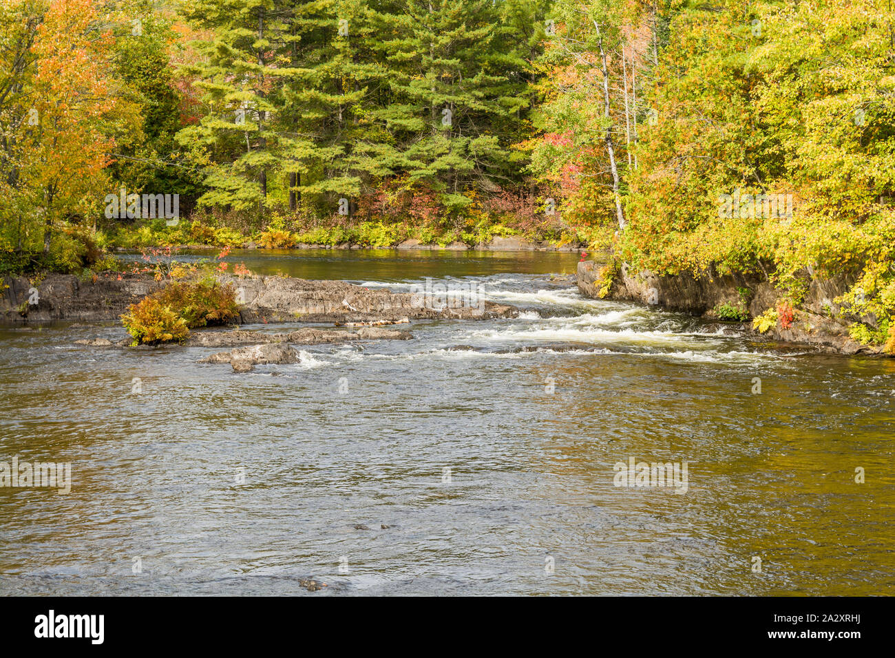 Zone de conservation de Cordova et de Healey Falls Algonquin Highlands Havelock Ontario Le Canada en automne Banque D'Images