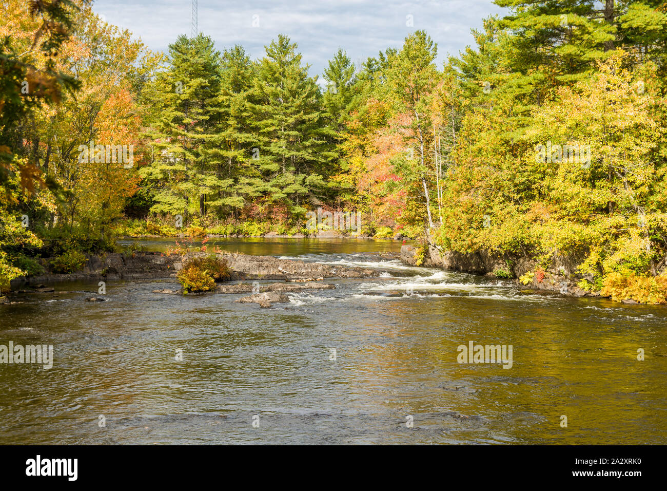 Zone de conservation de Cordova et de Healey Falls Algonquin Highlands Havelock Ontario Le Canada en automne Banque D'Images