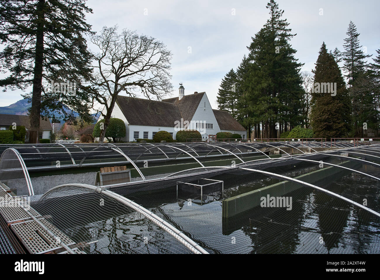 Cascade Locks, ou - Mar 28, 2019 : La Bonneville écloserie. Construit en 1909, c'est Oregon Department of Fish and Wildlife's plus grand couvoir. Banque D'Images